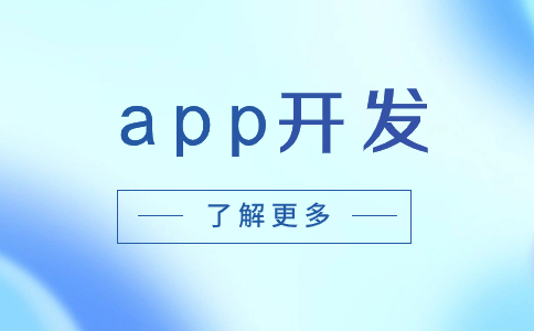 政府app开发